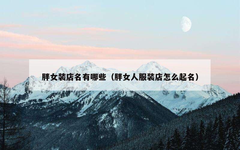 胖女装店名有哪些（胖女人服装店怎么起名）