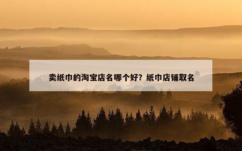 卖纸巾的淘宝店名哪个好？纸巾店铺取名