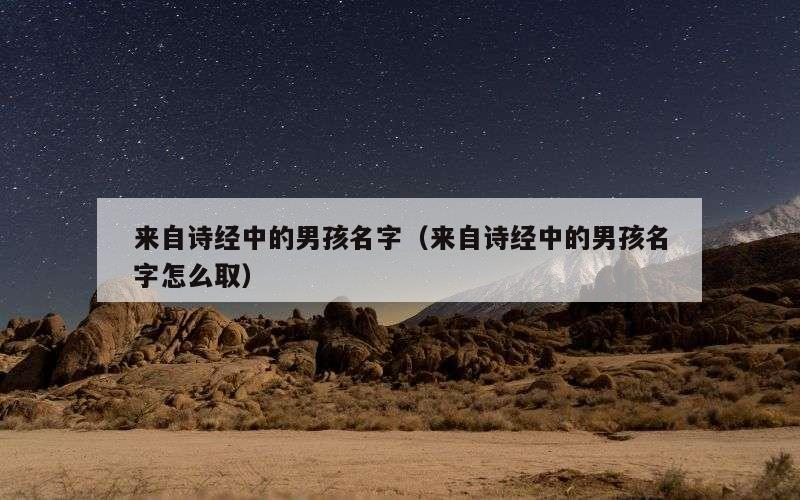 来自诗经中的男孩名字（来自诗经中的男孩名字怎么取）