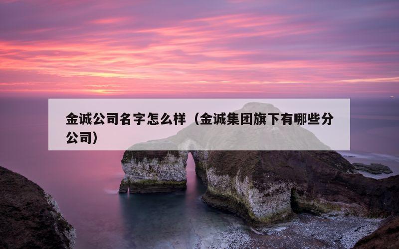 金诚公司名字怎么样（金诚集团旗下有哪些分公司）