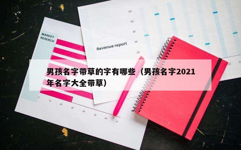 男孩名字带草的字有哪些（男孩名字2021年名字大全带草）