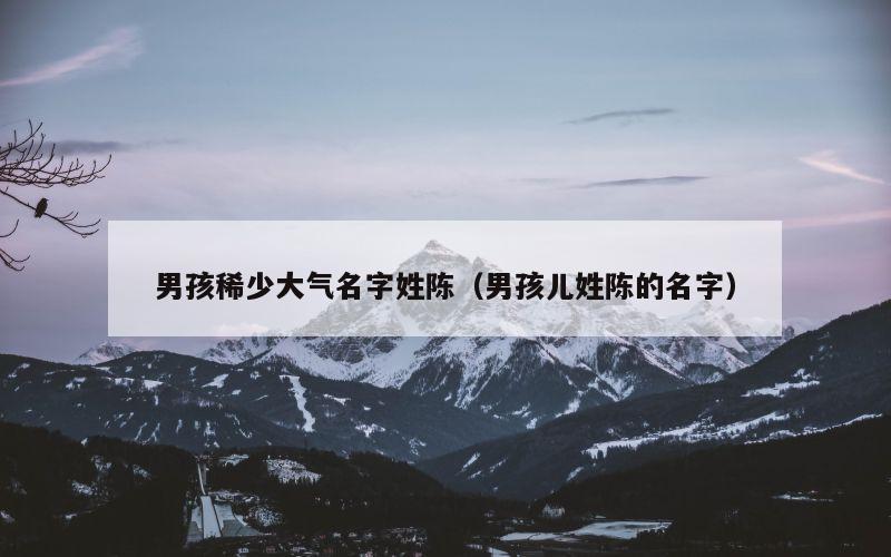 男孩稀少大气名字姓陈（男孩儿姓陈的名字）