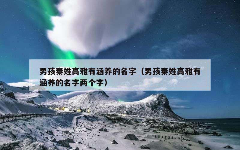 男孩秦姓高雅有涵养的名字（男孩秦姓高雅有涵养的名字两个字）