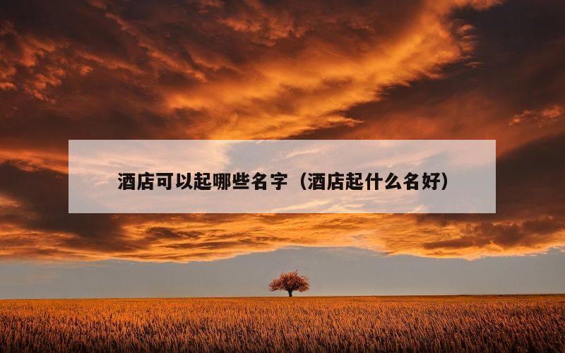 酒店可以起哪些名字（酒店起什么名好）