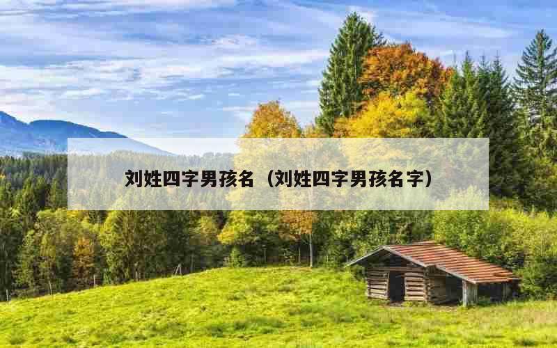 刘姓四字男孩名（刘姓四字男孩名字）