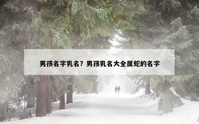 男孩名字乳名？男孩乳名大全属蛇的名字