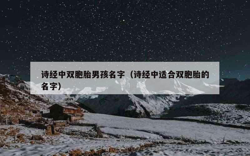 诗经中双胞胎男孩名字（诗经中适合双胞胎的名字）