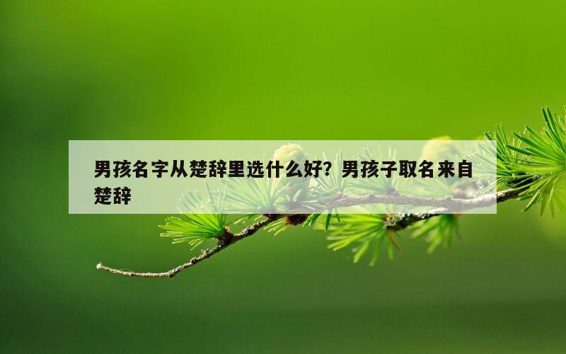 男孩名字从楚辞里选什么好？男孩子取名来自楚辞