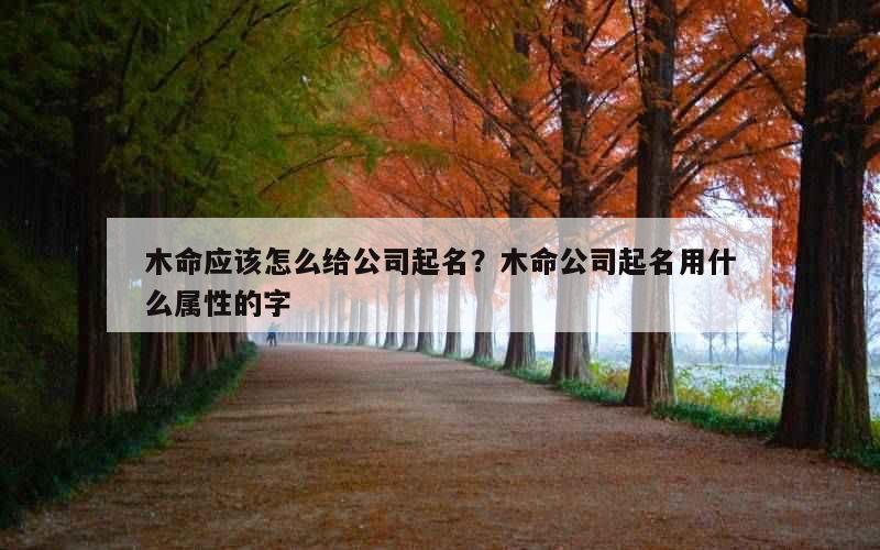 木命应该怎么给公司起名？木命公司起名用什么属性的字