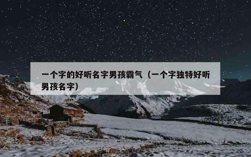 一个字的好听名字男孩霸气（一个字独特好听男孩名字）