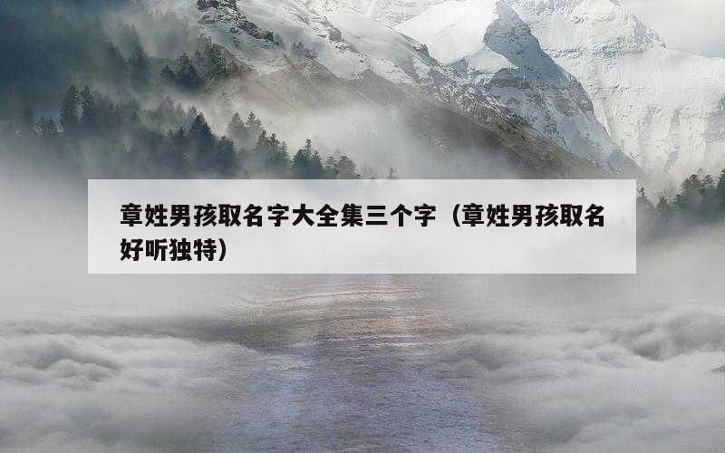 章姓男孩取名字大全集三个字（章姓男孩取名好听独特）