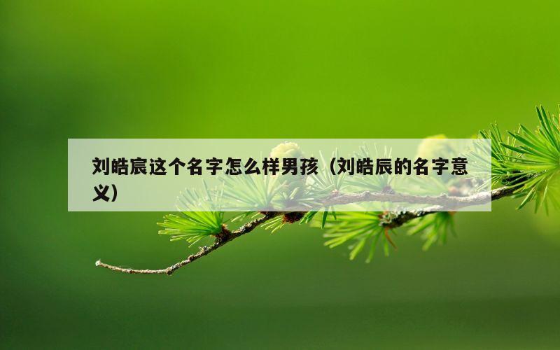 刘皓宸这个名字怎么样男孩（刘皓辰的名字意义）