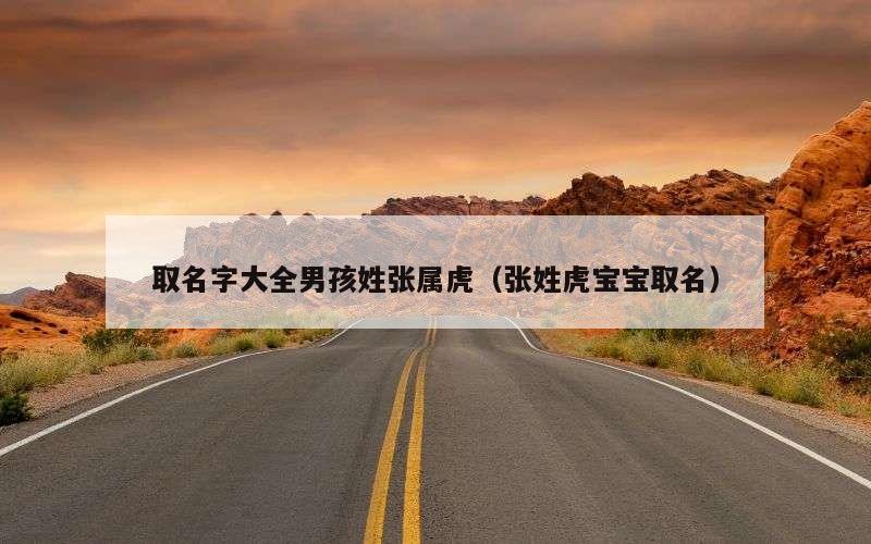 取名字大全男孩姓张属虎（张姓虎宝宝取名）