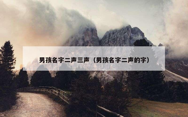 男孩名字二声三声（男孩名字二声的字）