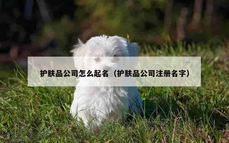 护肤品公司怎么起名（护肤品公司注册名字）
