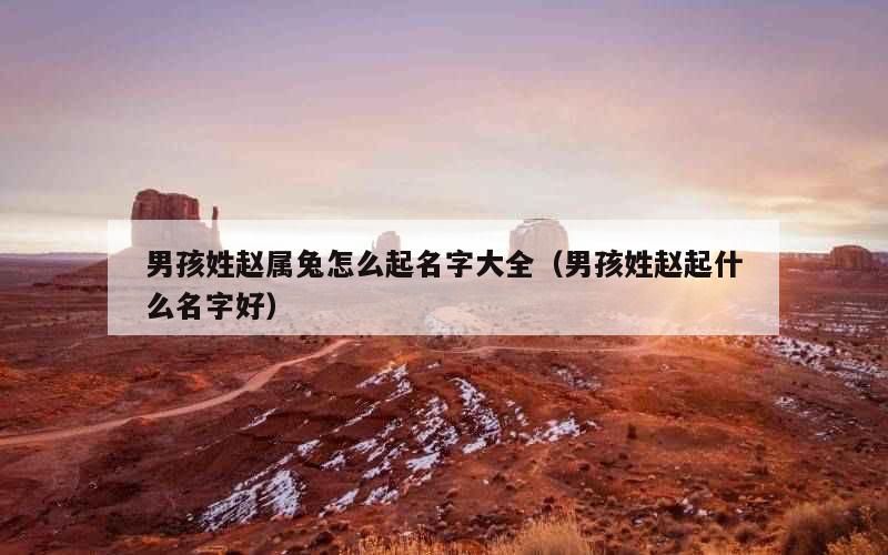 男孩姓赵属兔怎么起名字大全（男孩姓赵起什么名字好）