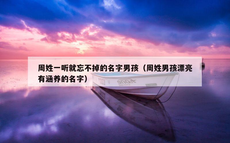 周姓一听就忘不掉的名字男孩（周姓男孩漂亮有涵养的名字）