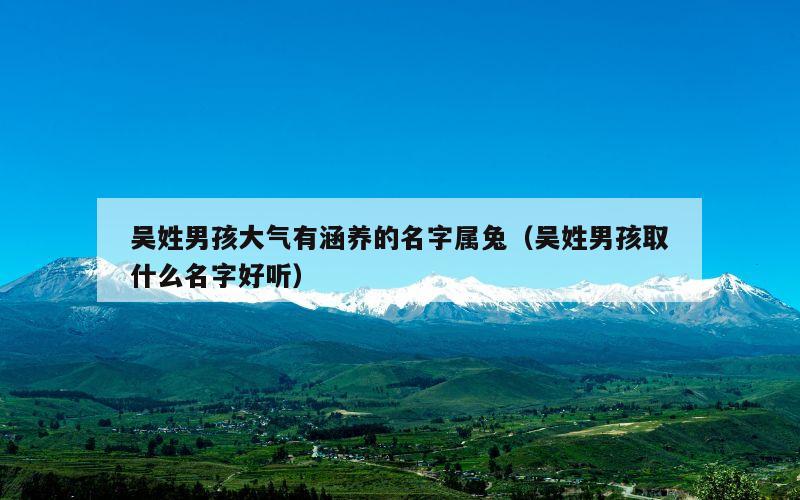 吴姓男孩大气有涵养的名字属兔（吴姓男孩取什么名字好听）