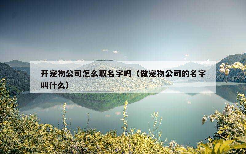 开宠物公司怎么取名字吗（做宠物公司的名字叫什么）