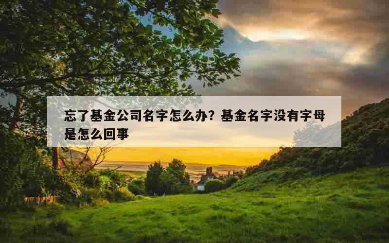 忘了基金公司名字怎么办？基金名字没有字母是怎么回事
