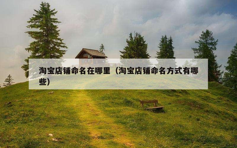 淘宝店铺命名在哪里（淘宝店铺命名方式有哪些）