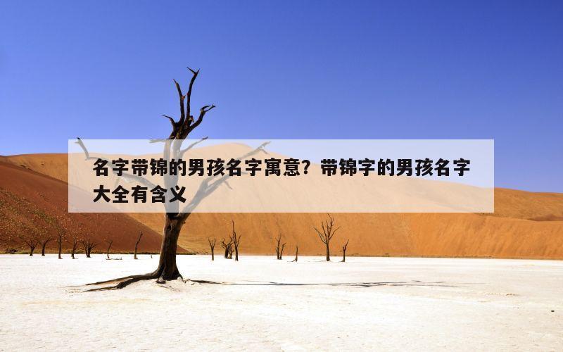名字带锦的男孩名字寓意？带锦字的男孩名字大全有含义