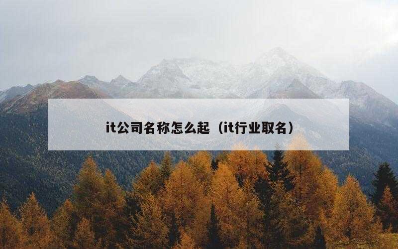 it公司名称怎么起（it行业取名）