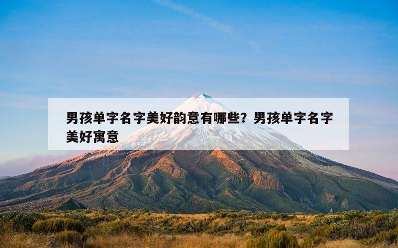 男孩单字名字美好韵意有哪些？男孩单字名字美好寓意