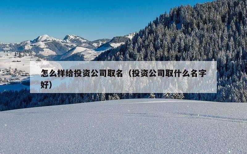 怎么样给投资公司取名（投资公司取什么名字好）