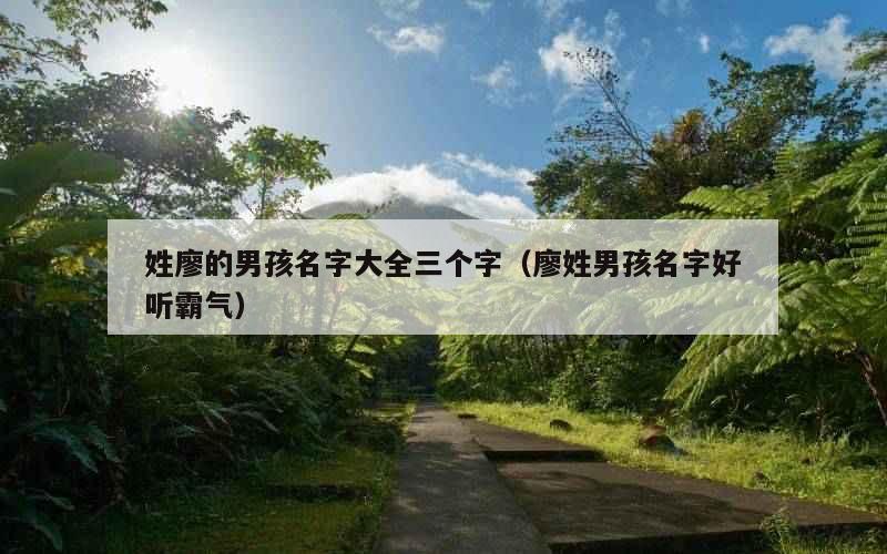 姓廖的男孩名字大全三个字（廖姓男孩名字好听霸气）