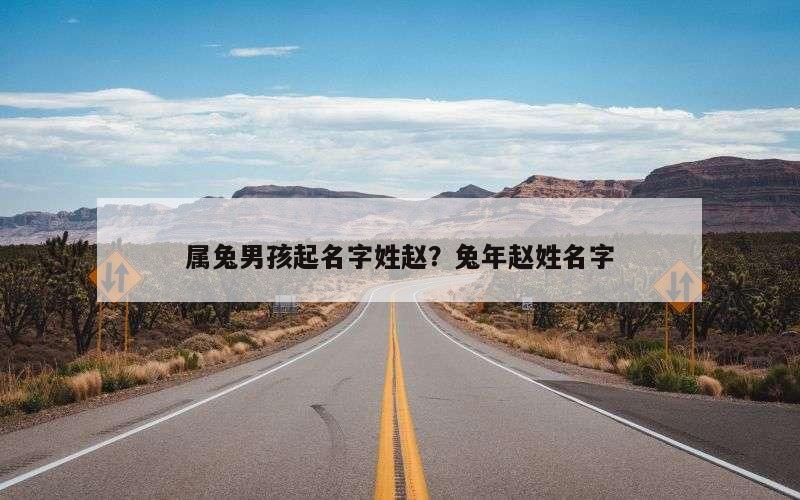 属兔男孩起名字姓赵？兔年赵姓名字