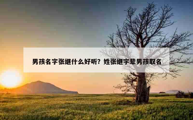 男孩名字张继什么好听？姓张继字辈男孩取名