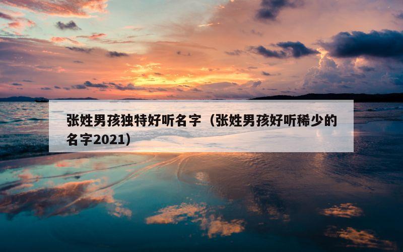 张姓男孩独特好听名字（张姓男孩好听稀少的名字2021）