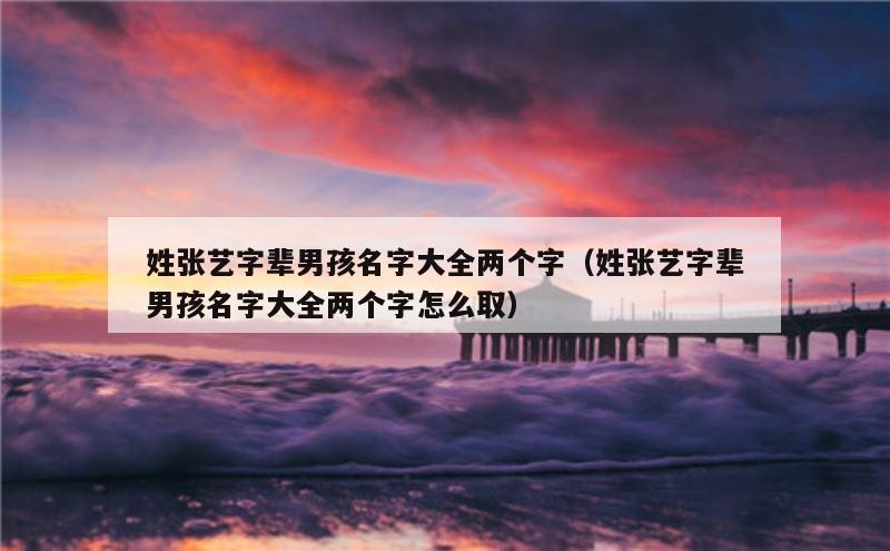 姓张艺字辈男孩名字大全两个字（姓张艺字辈男孩名字大全两个字怎么取）