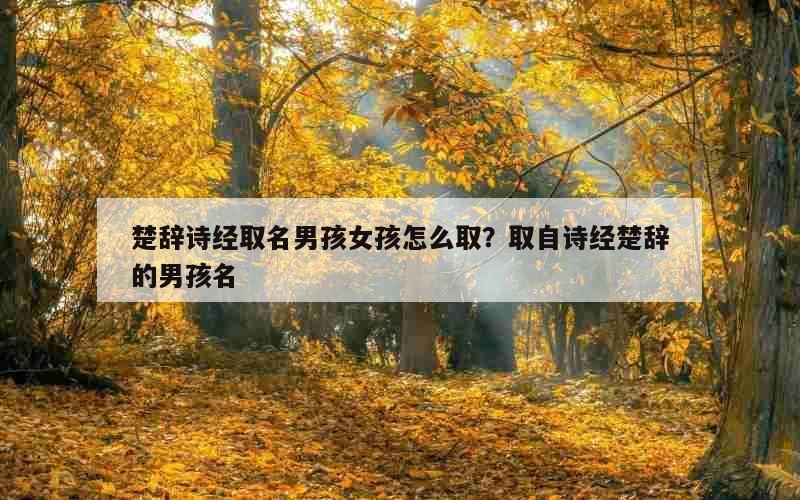楚辞诗经取名男孩女孩怎么取？取自诗经楚辞的男孩名