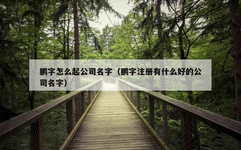 鹏字怎么起公司名字（鹏字注册有什么好的公司名字）