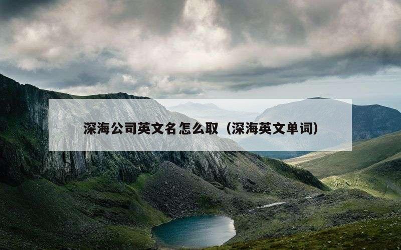 深海公司英文名怎么取（深海英文单词）