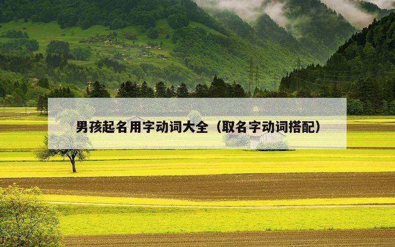 男孩起名用字动词大全（取名字动词搭配）