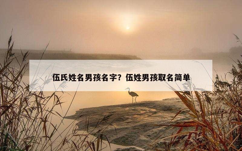 伍氏姓名男孩名字？伍姓男孩取名简单