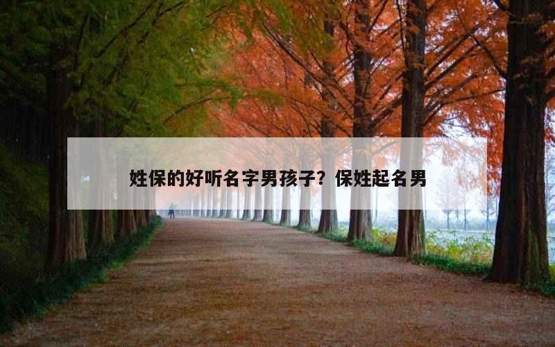 姓保的好听名字男孩子？保姓起名男