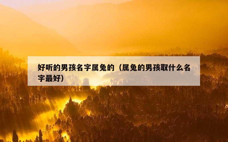 好听的男孩名字属兔的（属兔的男孩取什么名字最好）