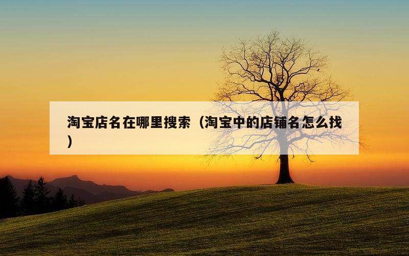 淘宝店名在哪里搜索（淘宝中的店铺名怎么找）